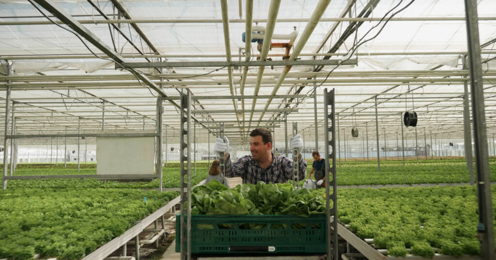 Modaal salaris stijgt met 1,4% in Q4, effect seizoensarbeid in Zeeland zichtbaar